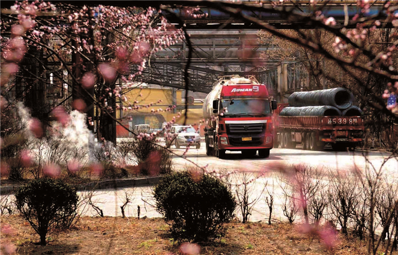 花团锦簇中的本钢厂区一景   摄影：高辉