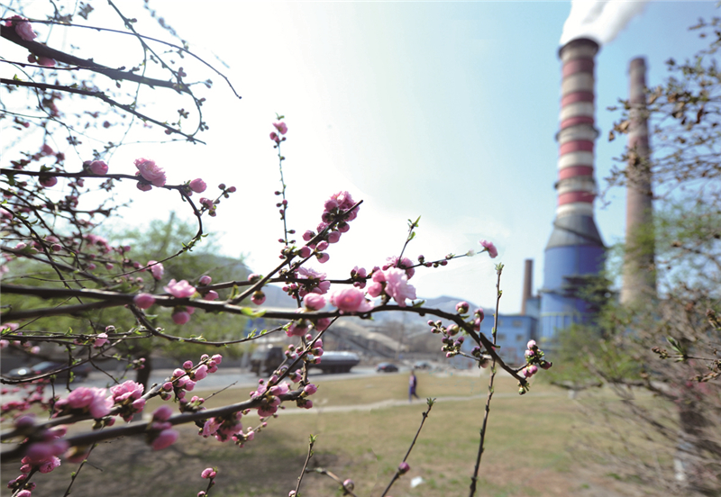 桃花掩映下的本钢高炉脱硫塔   摄影：田峥